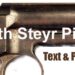 M1907 ROTH STEYR PISTOL