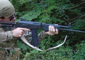 Genetic Hybridization and the Galil of Cows, Corn, and Israeli Assult Rifles