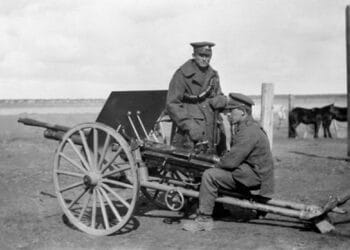McClean Automatic Rifle